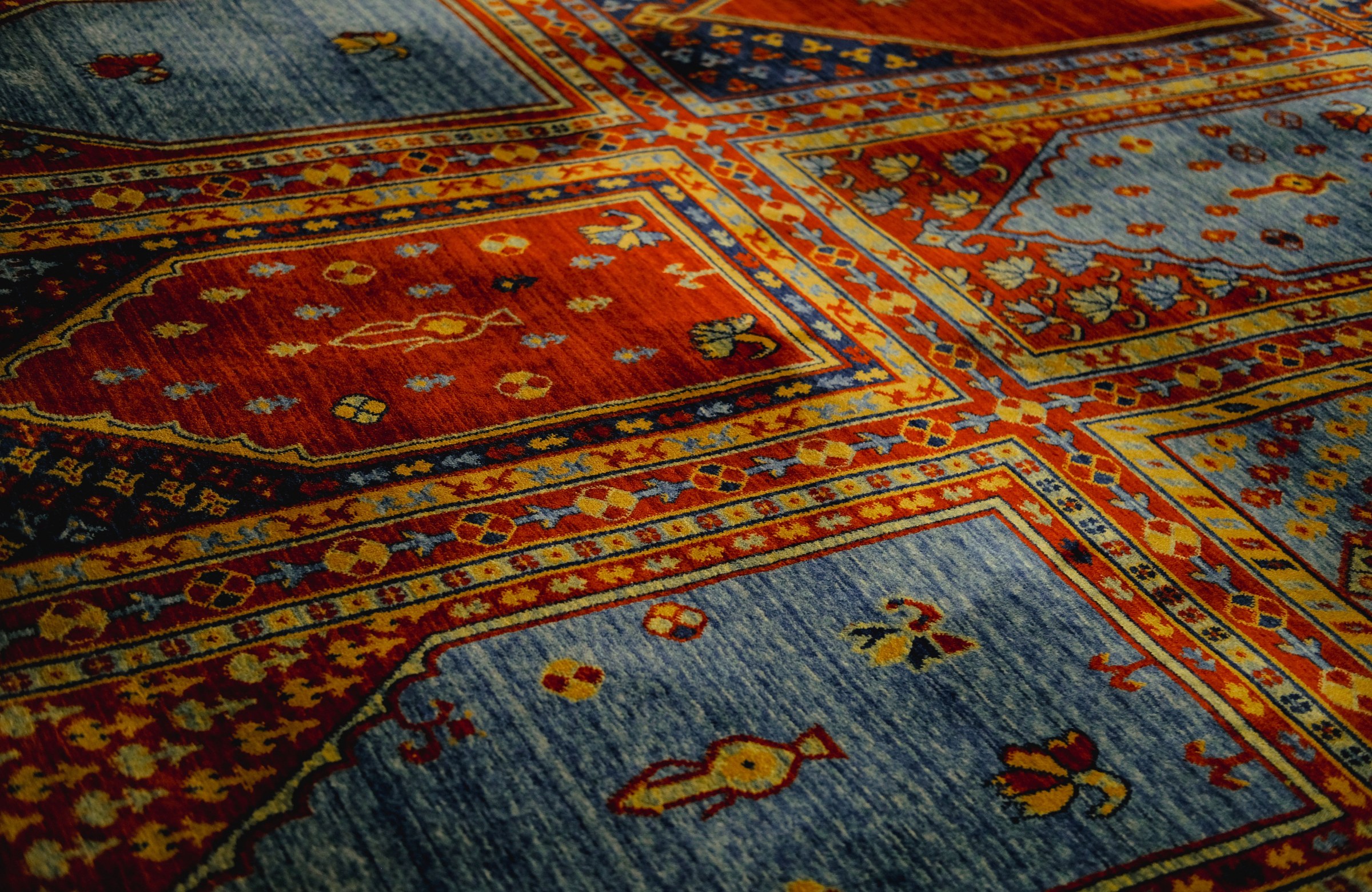 spray-extraction-carpet-2
